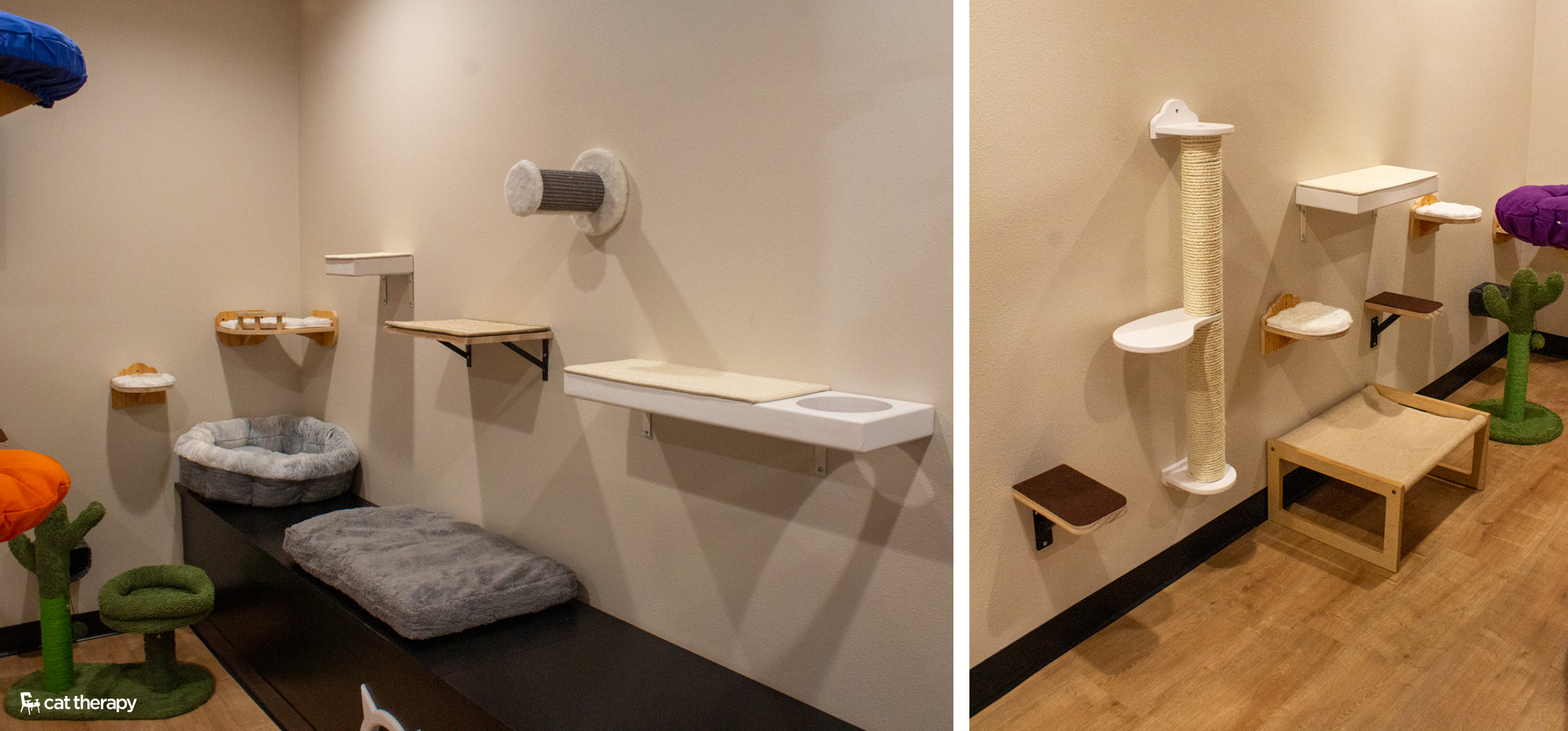 Indoor Cat Room Ideas Inspired by Cat Cafe Design