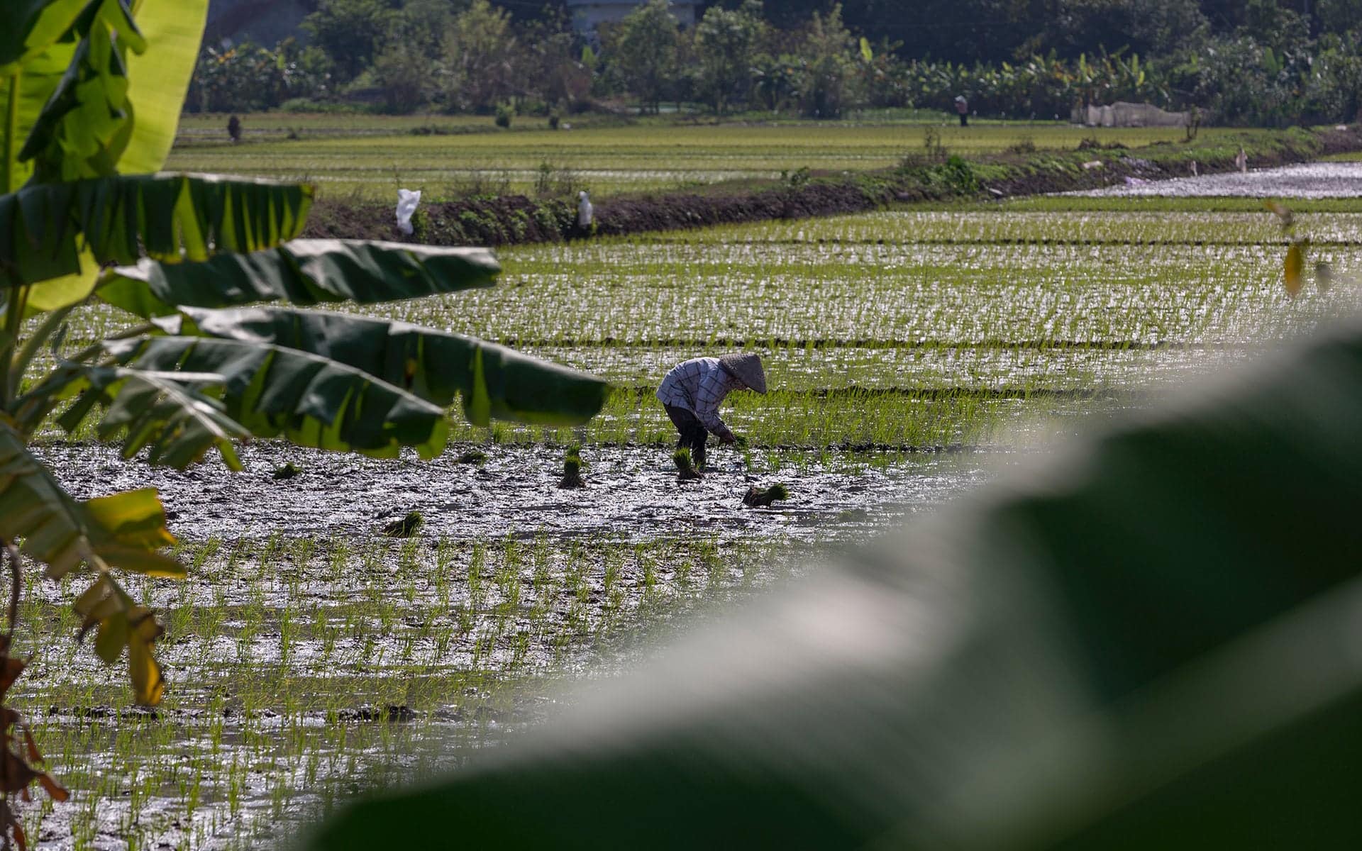 Phong Nha, Vietnam.
