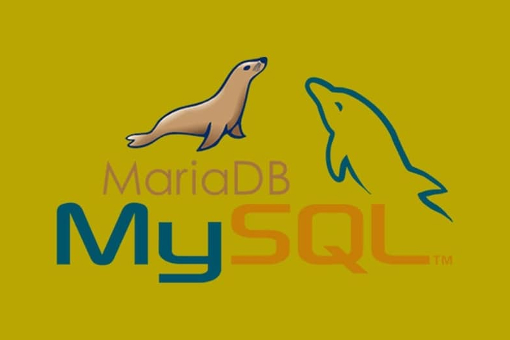 MySql/MariaDB