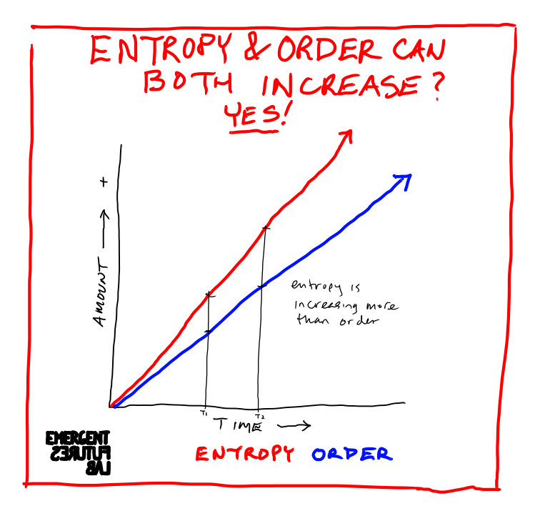 Entropy and Order