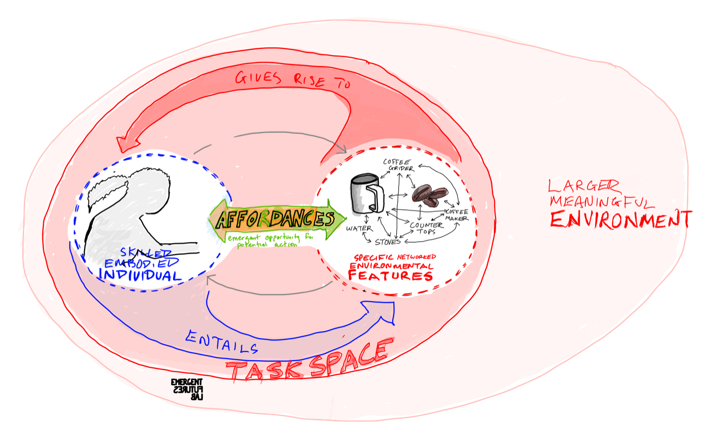 Affordances Live Inside of a Taskspace