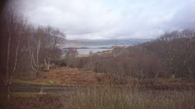 View from Beach Bridge Cottage