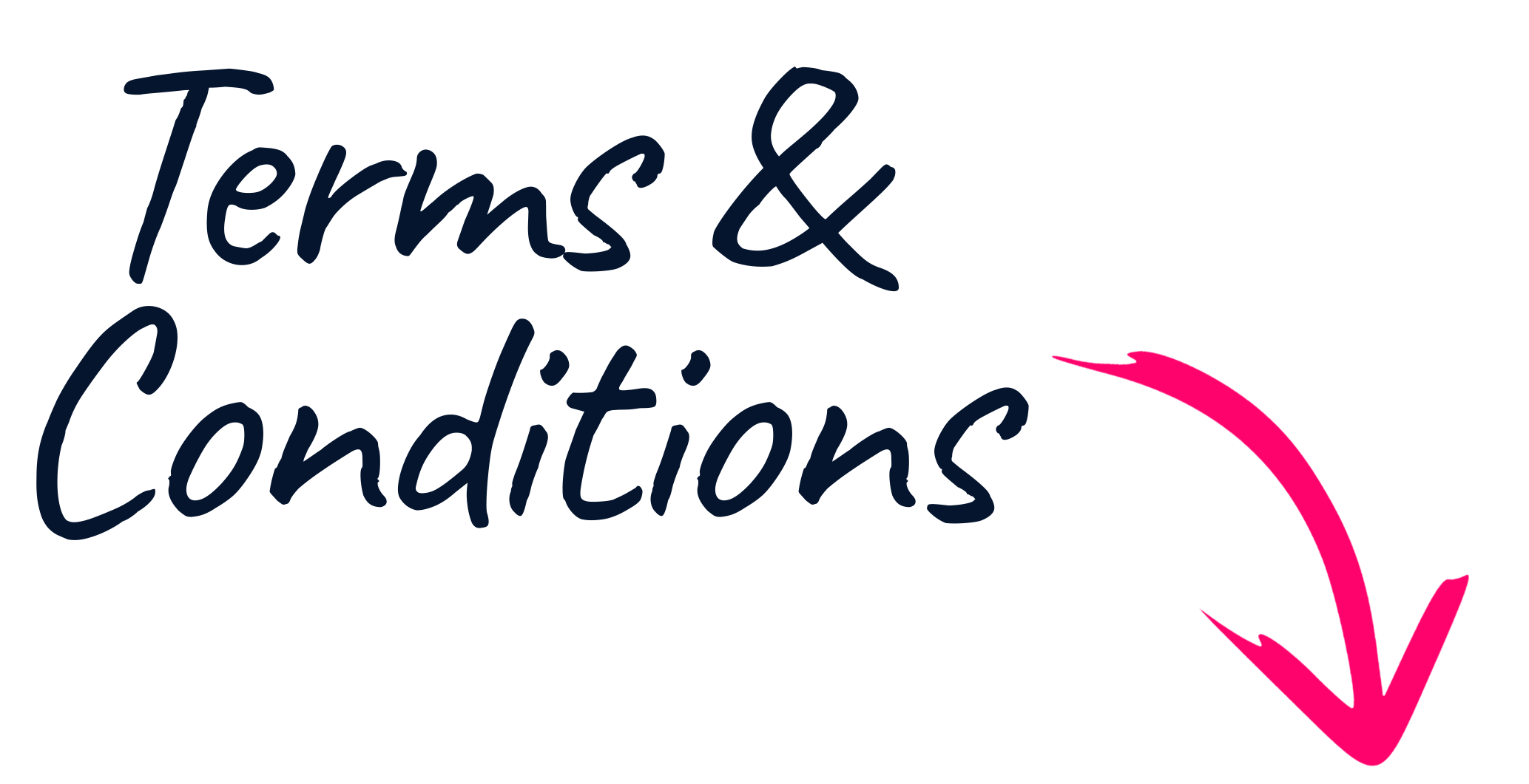 Terms and Conditions