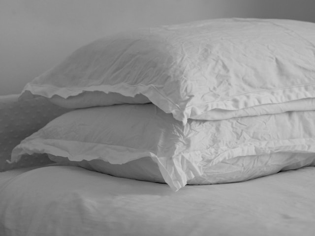 6 Signs of Bed Bugs in Pillows - Zunex Pest Control