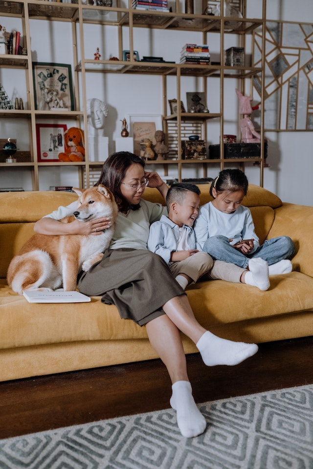 family with medium sized dog on a yellow couch in front of an industrial bookshelf 