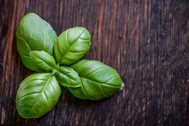 Basil leaf on a wodden table
