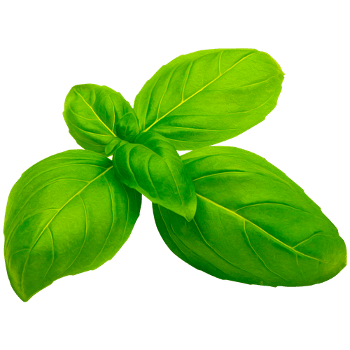 The Social Dough Company Serving socially responsible Neapolitan Pizza