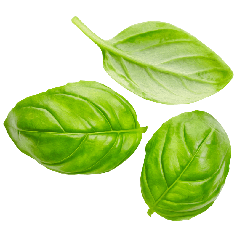 The Social Dough Company Serving socially responsible Neapolitan Pizza