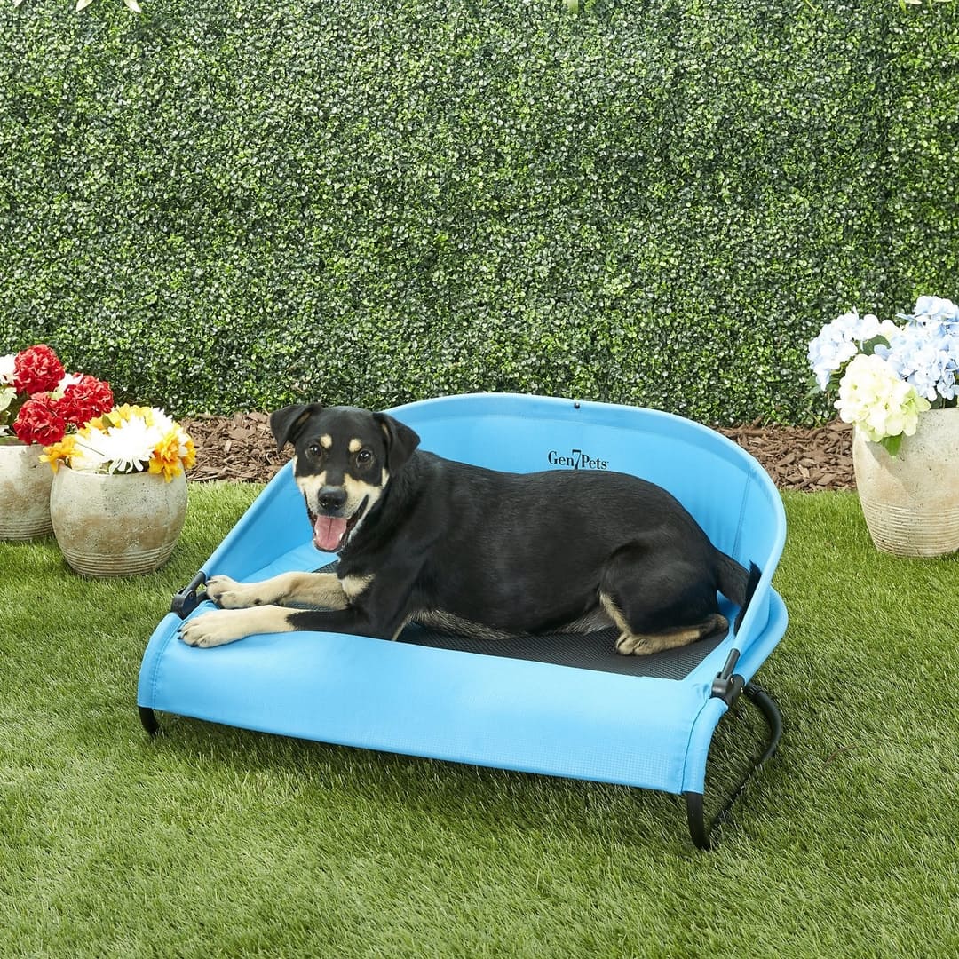 cooling bed for dogs