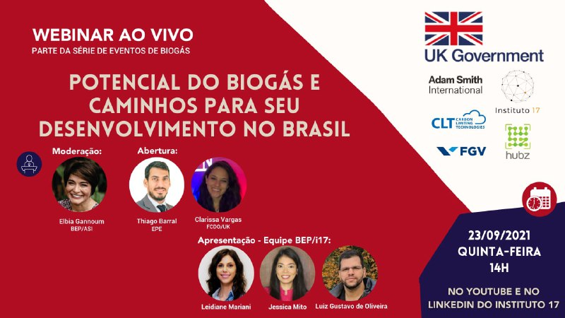 Visualização da imagem