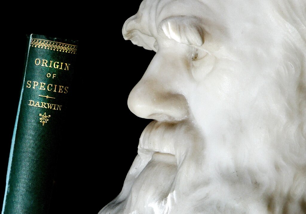 istoria celor doua carnetele cu schite ale lui charles darwin