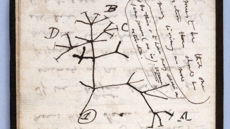 notitele lui charles darwin