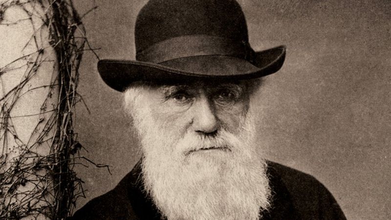 charles darwin manuscris