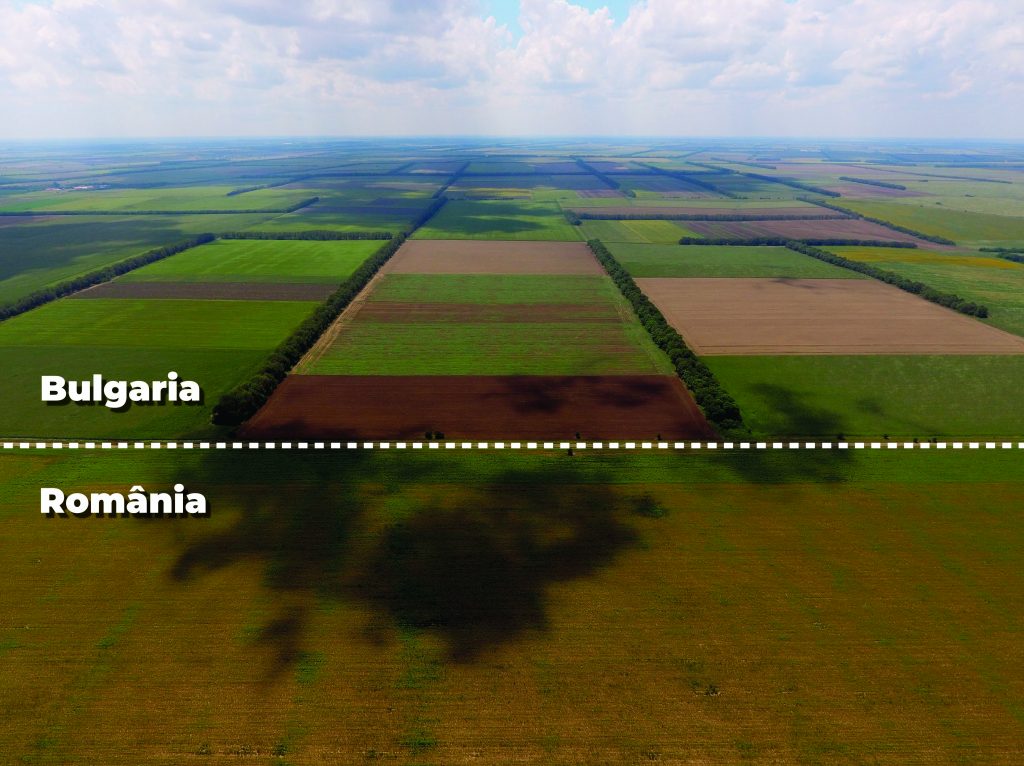 comparatie defrisari Bulgaria Romania