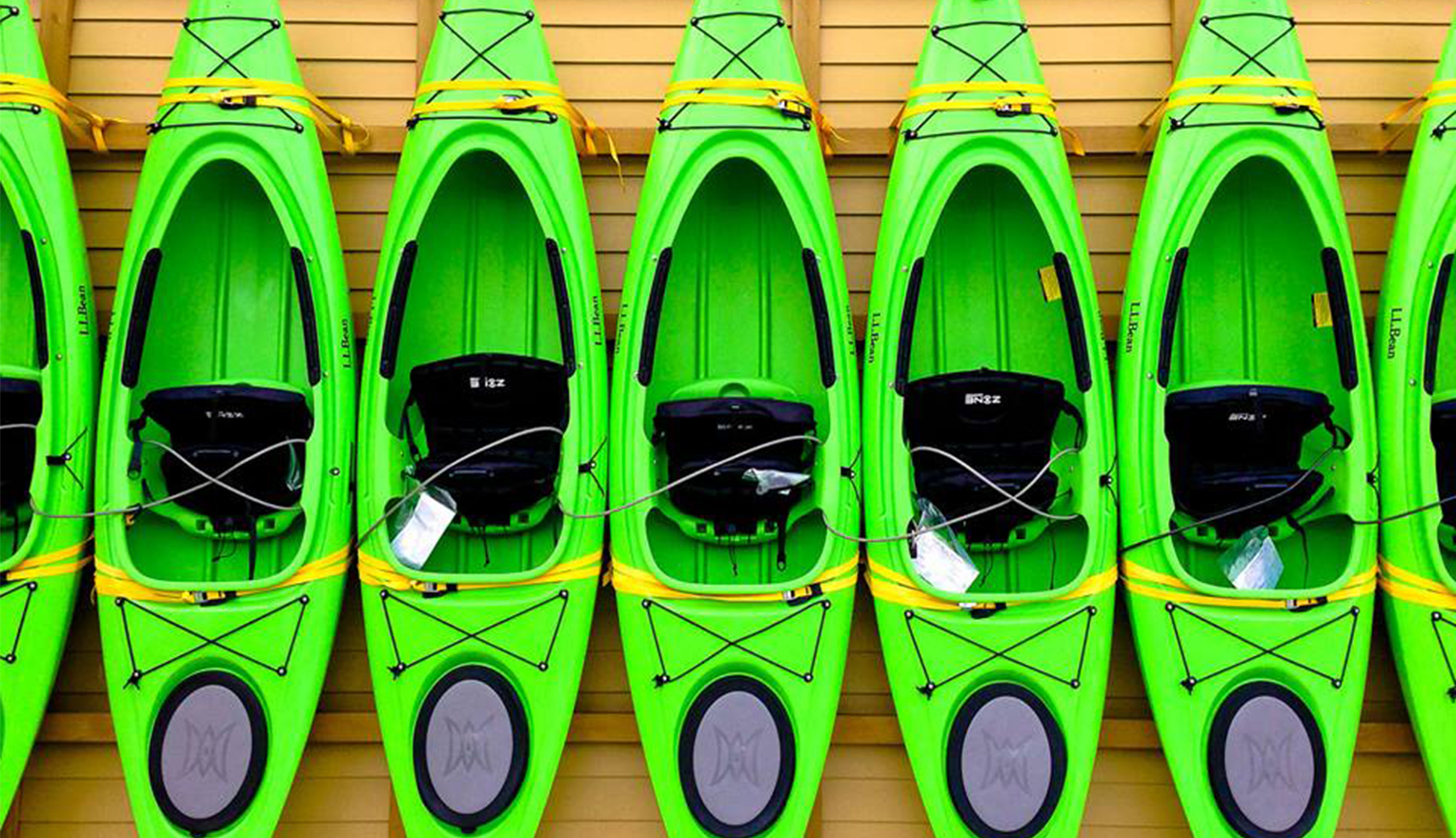 Find a niche that will work best for you in Shopify store