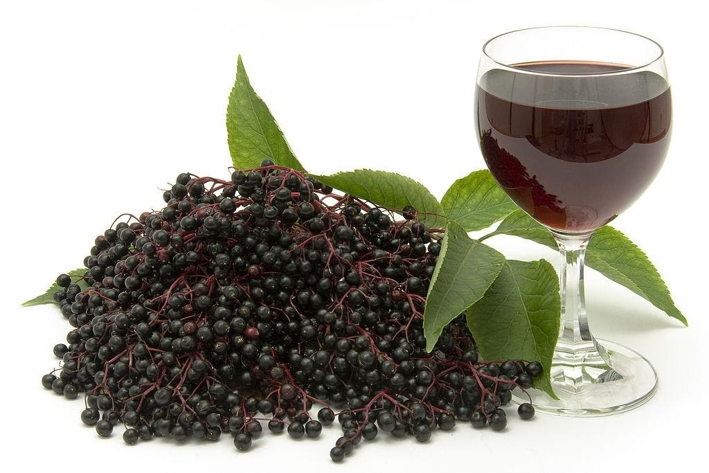 Elderberry Supplement