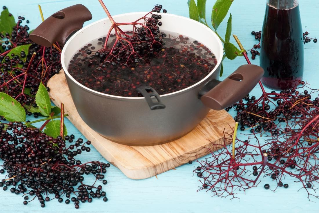 /var/folders/lp/tz6f3fqx2kv7nsfhkcbk4n380000gn/T/com.microsoft.Word/WebArchiveCopyPasteTempFiles/benefits-of-elderberry-boiling.jpg