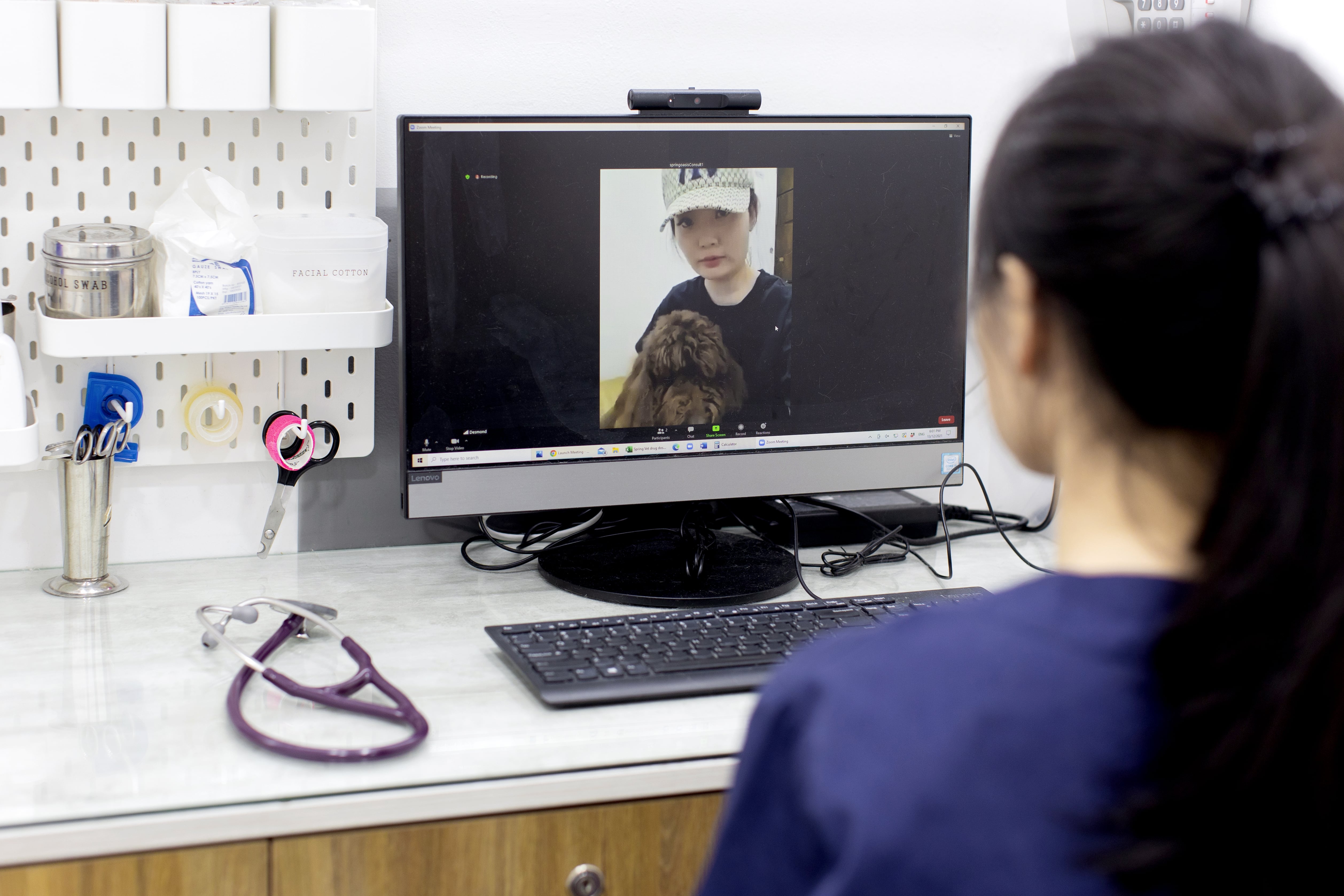 Malaysia Online Vet Singapore Vet