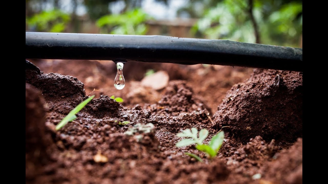 Using a SpinDown Filter To Prevent Plugging In Drip Irrigation Systems