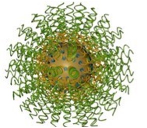 https://commons.wikimedia.org/wiki/File:Core-filled_and_Core-less_Spherical_Nucleic_Acids_01.jpg