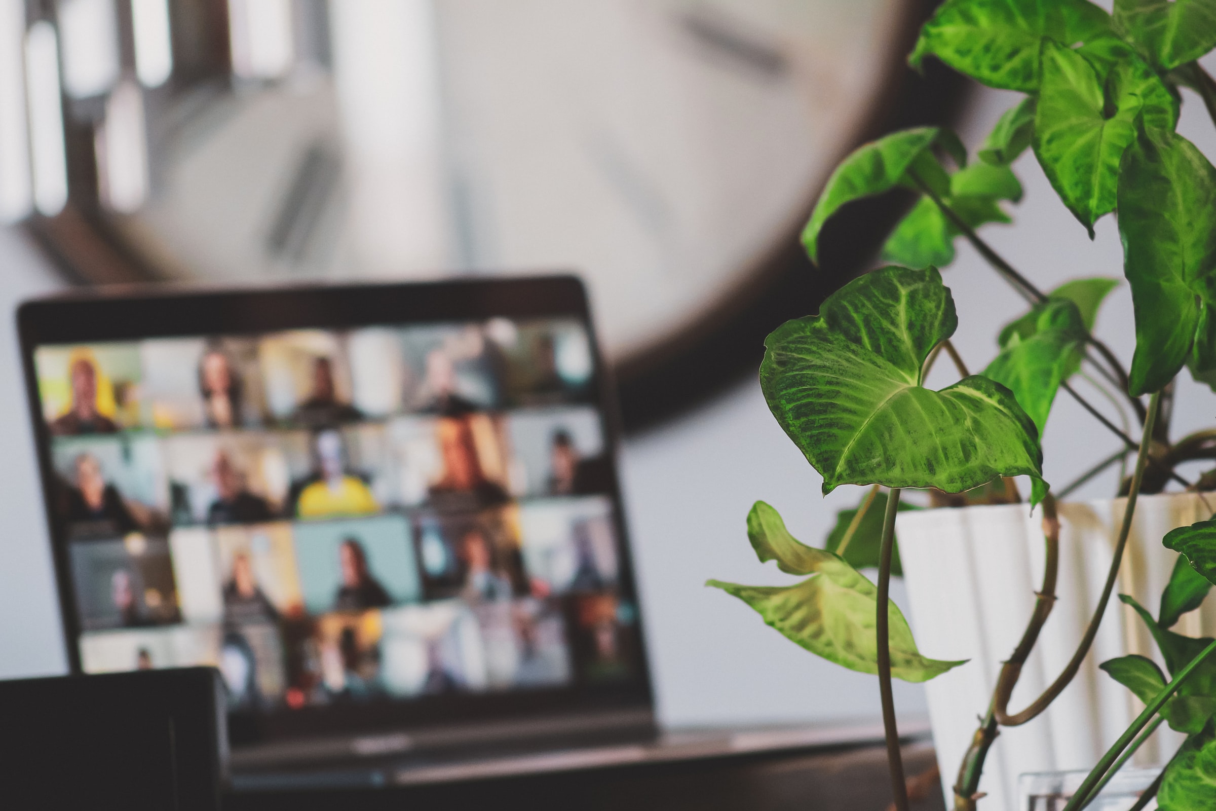 Laptop sitting on desk beside plant