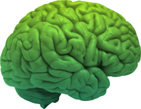 abstract image of a brain