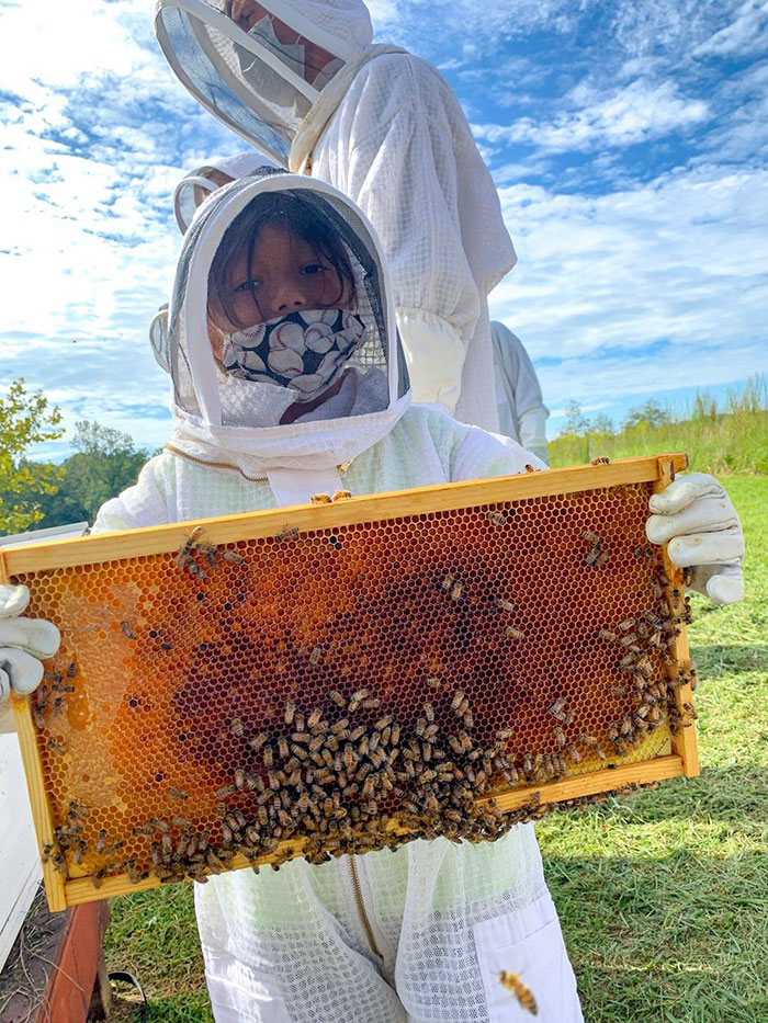 Trilith Apiary Bee Downtown