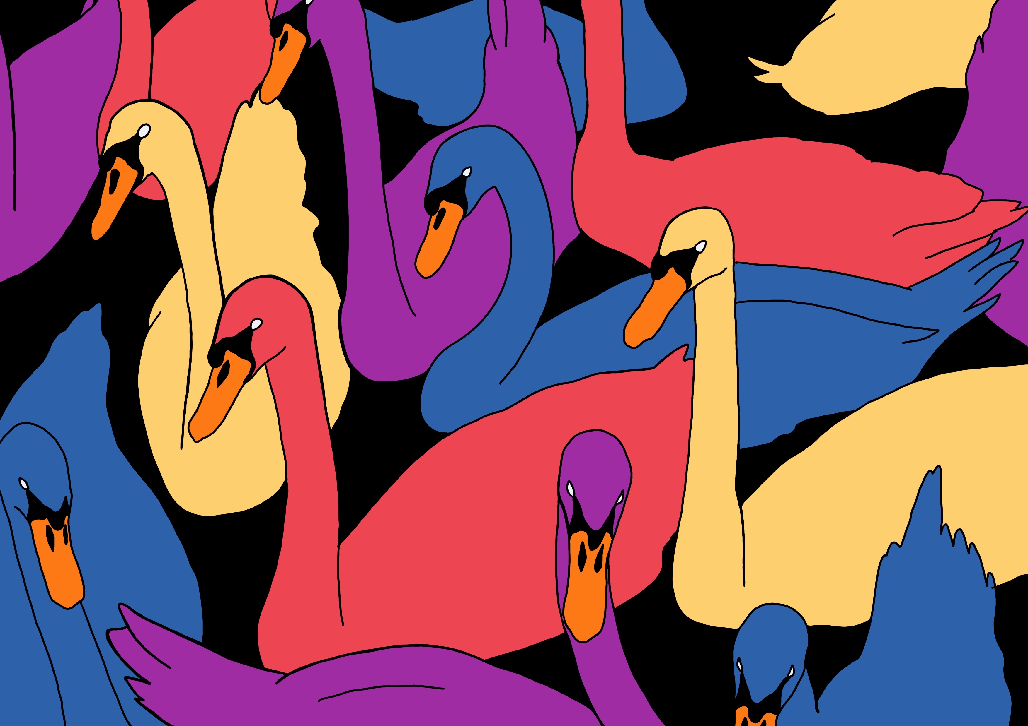 Swans