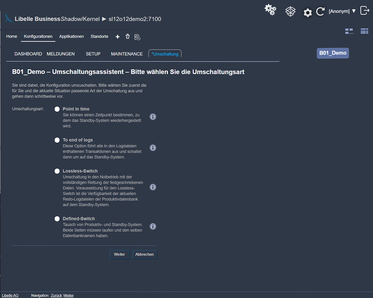Libelle BusinessShadow frontend shows the switchover phase with switchover assistant