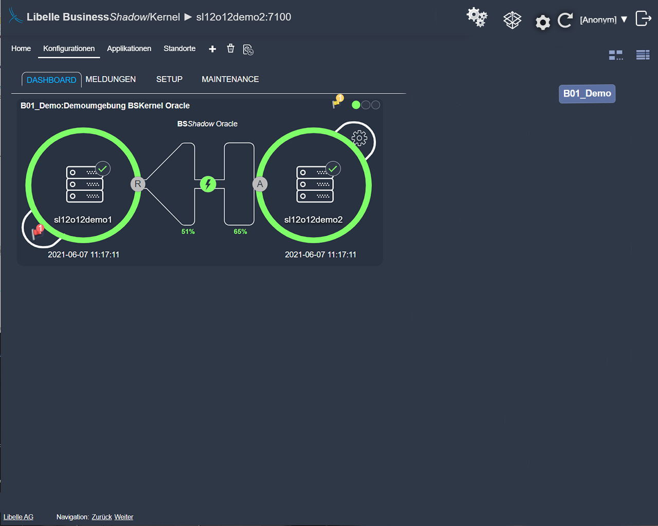 Libelle BusinessShadow frontend shows the troubleshooting phase
