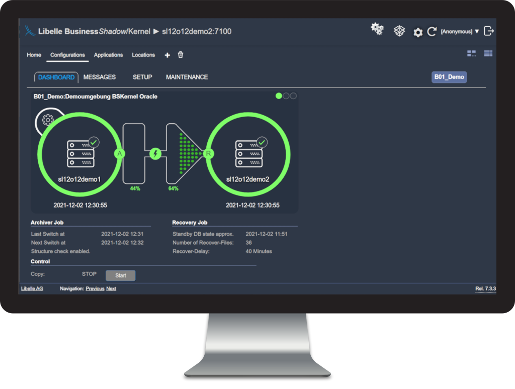 Ein Bildschirm, der die graphische Oberfläche der Software Libelle BusinessShadow zeigt