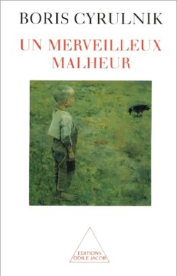 la résilience def