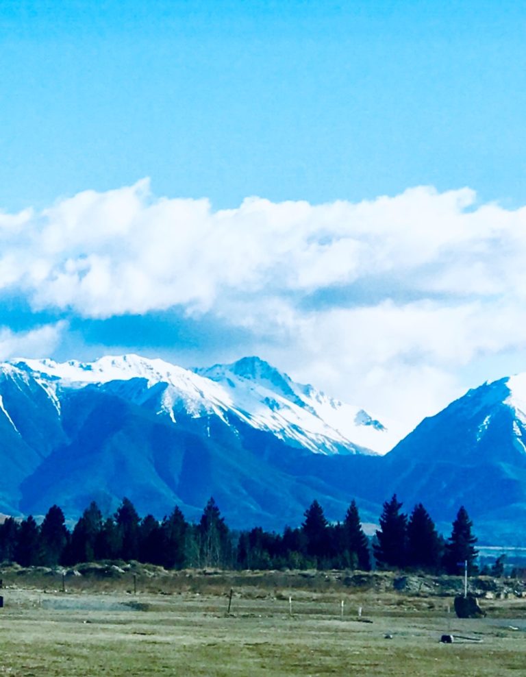 South island road trip