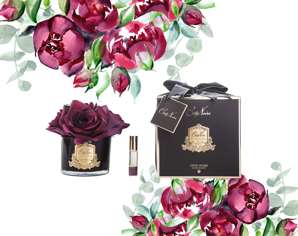 Cote Noire Long-lasting Black Aromas