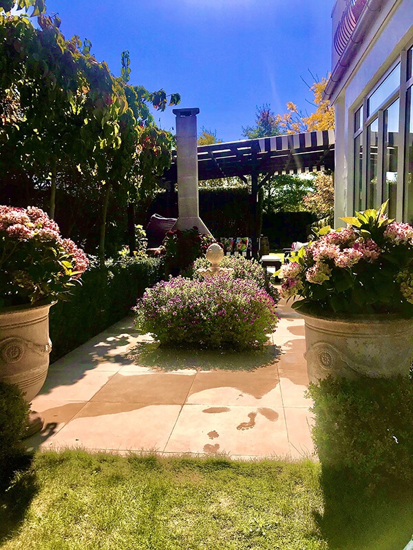 Vicki garden