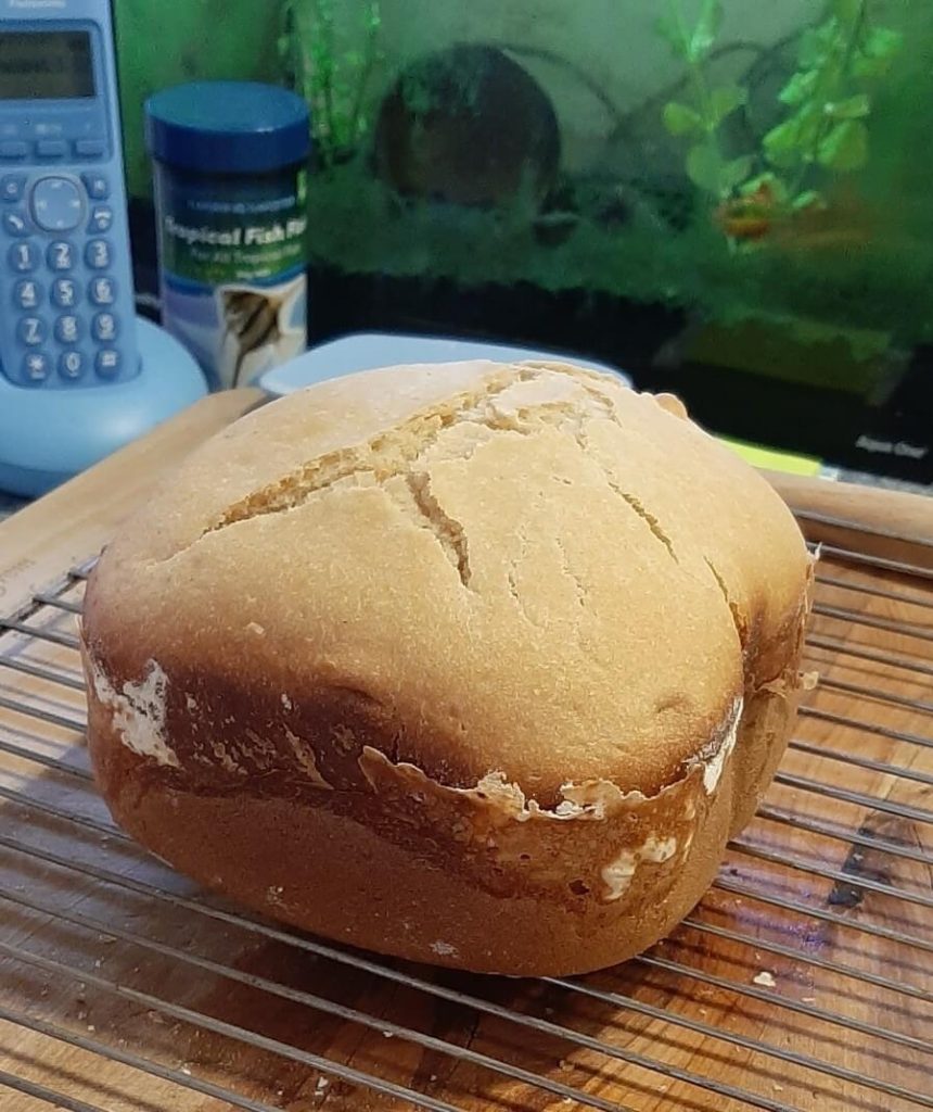 Georgie homemade bread