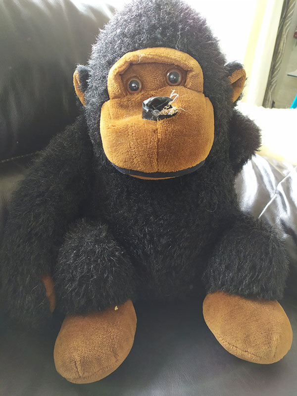 Sara's teddy bear