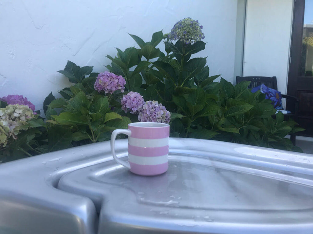 Tea and spa