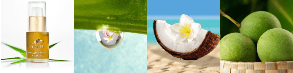 Pure Fiji dilo oil ingredients
