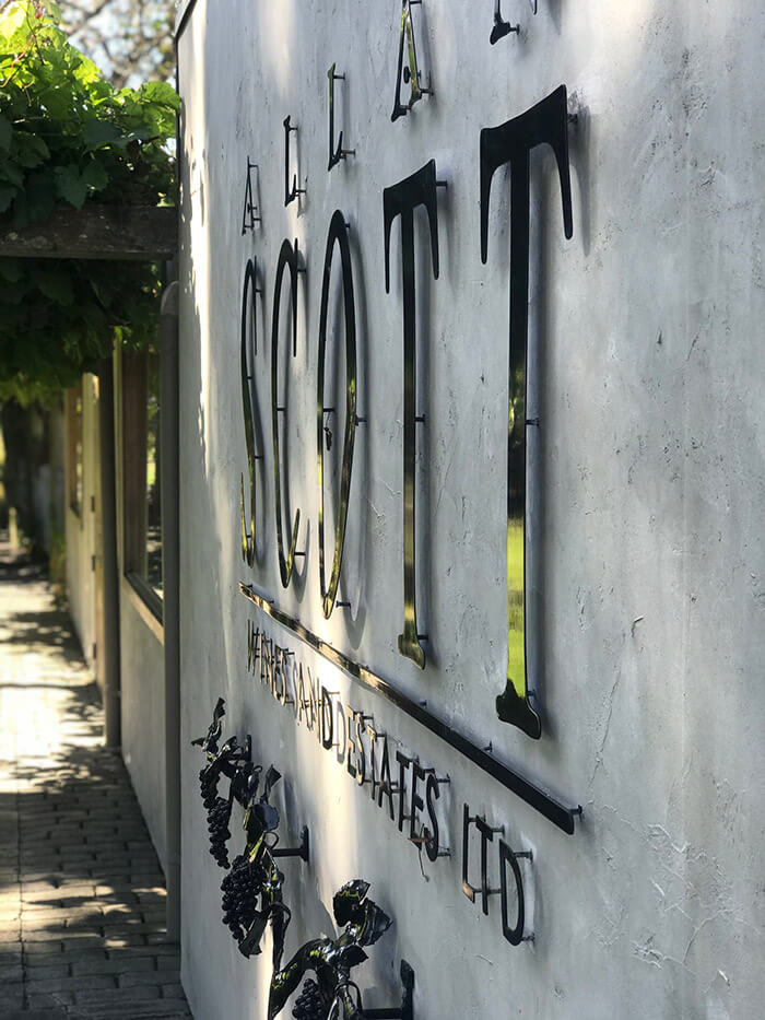 Allan Scott Vineyard
