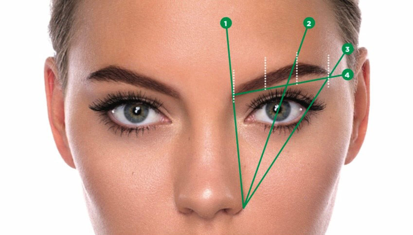 Eyebrow Shape