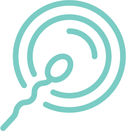 fertilization icon
