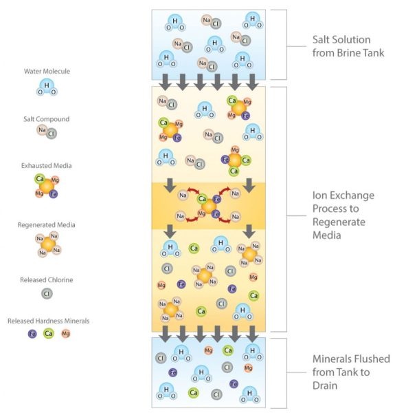 Softening Process - Regenerating Softener