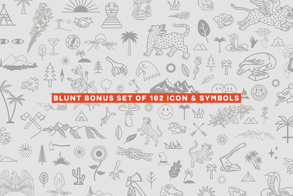 Blunt Family Font