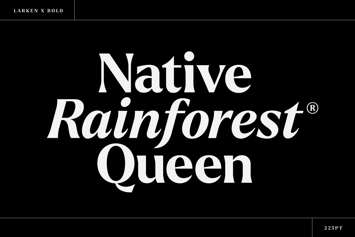 Larken - A Beautiful Serif