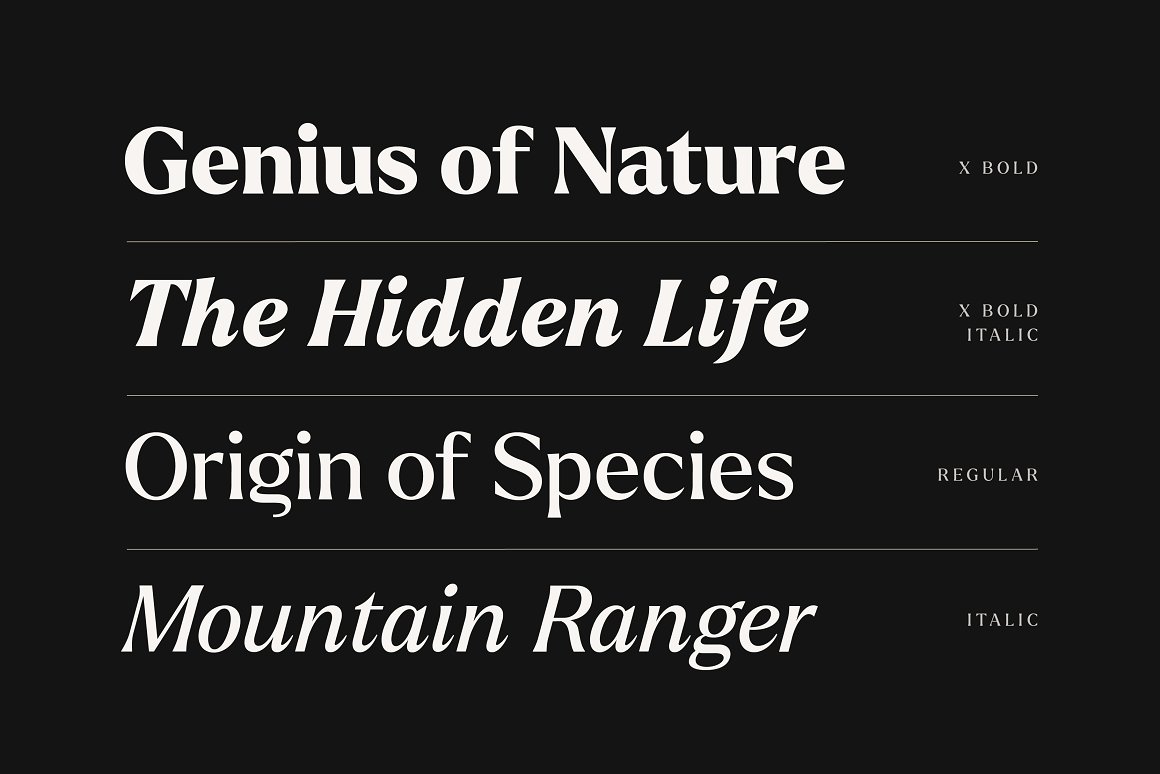 Larken - A Beautiful Serif
