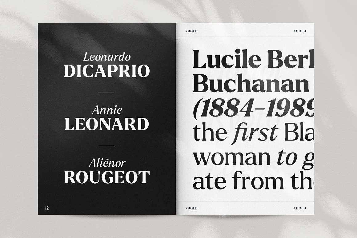 Larken - A Beautiful Serif