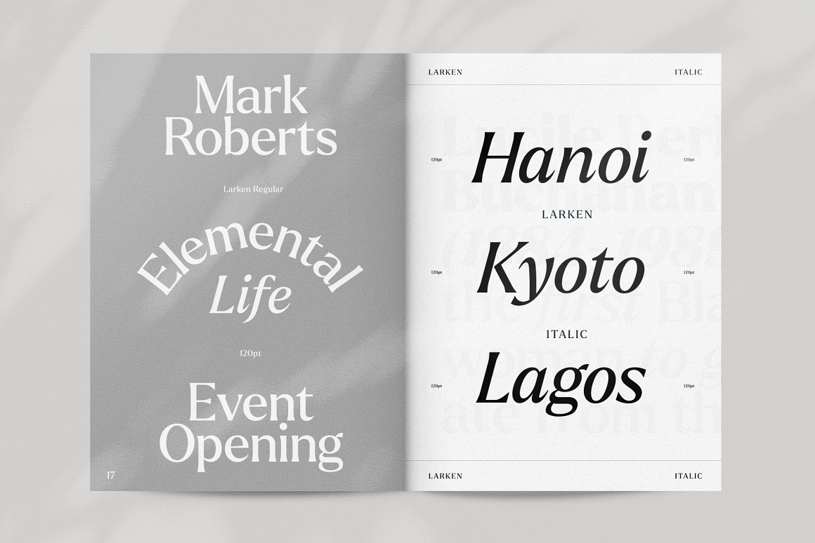Larken - A Beautiful Serif