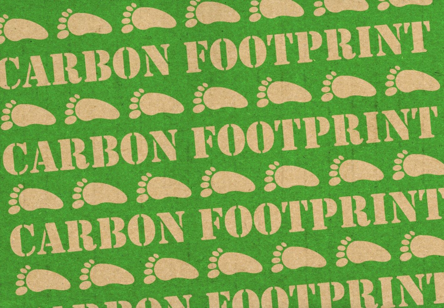 What is Carbon Accounting?