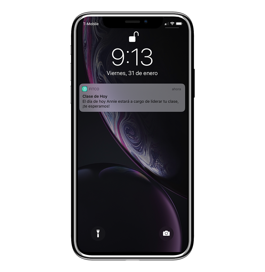 mockup_notificacion